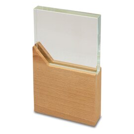 Trofeum Kingston, transparentny R22191.00