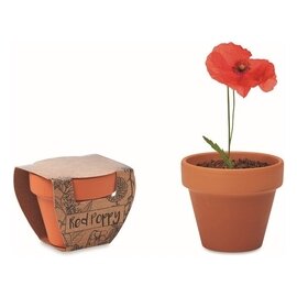 Doniczka, mak MO6148-40