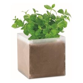 Zestaw do uprawy Mięta MO9546-13