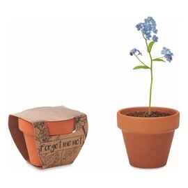 Doniczka, niezapominajka MO6146-40