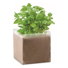 Zestaw do uprawy Bazylia MO9545-13