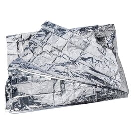 Koc termiczny V9731-32