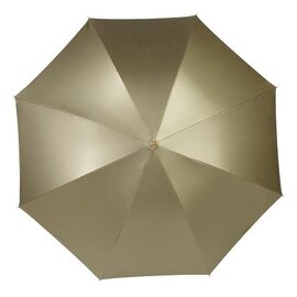 Parasol automatyczny V4158-24