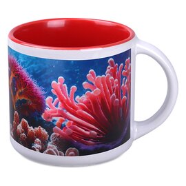 MODERN ART biały / czerwony