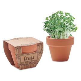 Nasiona rzeżuchy w doniczce  MO2219-40