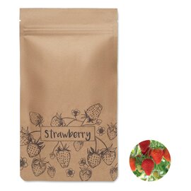 Zestaw do uprawy truskawek   MO6928-13