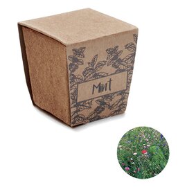 Zestaw do uprawy mięty     MO2410-13