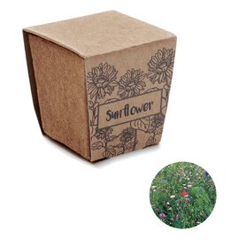 Zestaw do uprawy słonecznika  MO2411-13