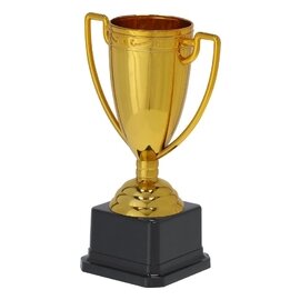 Puchar okolicznościowy VA377-24