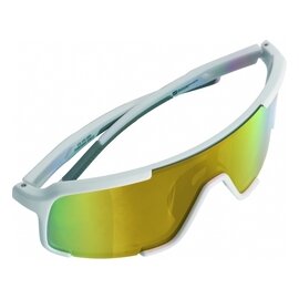 Okulary przeciwsłoneczne polaryzacyjne UV 400 BAWRON Schwarzwolf F1504900AJ306