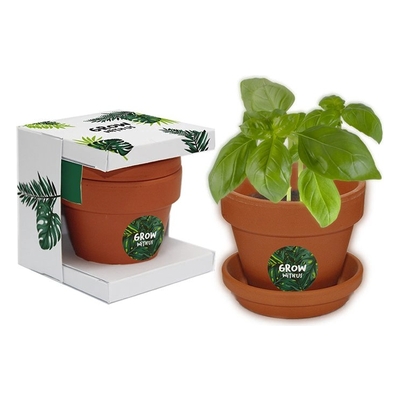Grow kit ceramika