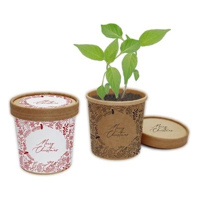 Grow kit papierowy