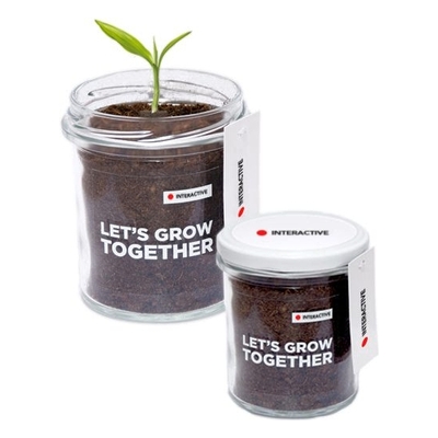 Grow Kit Szklany z Ziemią