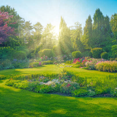 Gadżety, Które Czynią Twoją Przestrzeń Na Zewnątrz Jeszcze Piękniejszą: Inspiracje dla Ogrodników